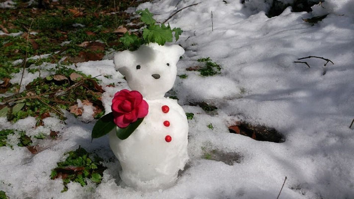 ゆるキャラ祭りに出られるかナっ？ …寒い日のほんの気晴らし☆… (2014.2.7) (c) Yukie Arai