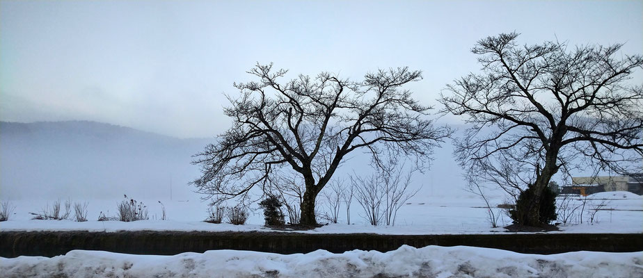 ～  冬の風物詩  ～ 　雪の余呉湖　 (2021.1.21) (c) Yukie Arai