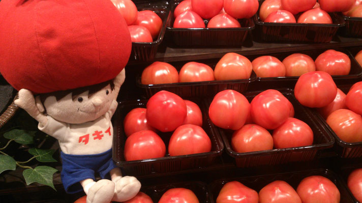 ～  下から よんでも 〇〇〇  ～    あのコに つられて　買ってしまった～っ☆  (2016.3.21) (c) Yukie Arai