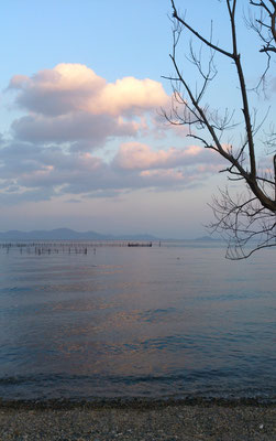 琵琶湖　(2022.1.28) (c) Yukie Arai