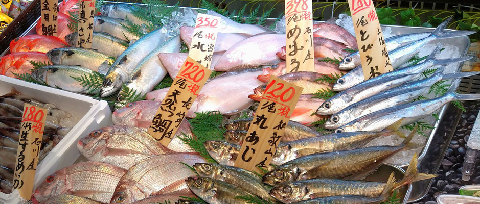 ～  飛び魚に・・・ ～　心躍る 夏の海♪　　(2020.6.7) (c) Yukie Arai