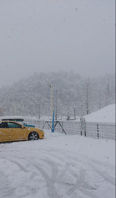 ～  信号機色  ～   雪のなか 赤をひそかに待っている♪   (2019.1.26) (c) Yukie Arai