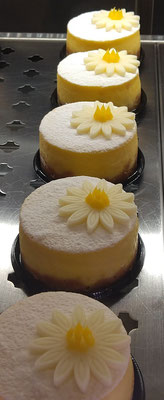 ～  フロマージュ キュイ  ～　水辺の花かしら...?   フレッシュレモンのチーズケーキ♪  　(2022.6.14) (c) Yukie Arai