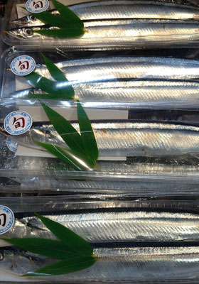 ～  ￥199  ～ 　キラっ!! 刀剣の如し  そろそろ...♪ 　 (2021.11.8) (c) Yukie Arai