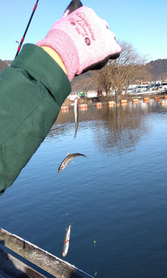 ～  冬の風物詩  ～ 　ワカサギ釣り♪　 (2021.1.21) (c) Yukie Arai