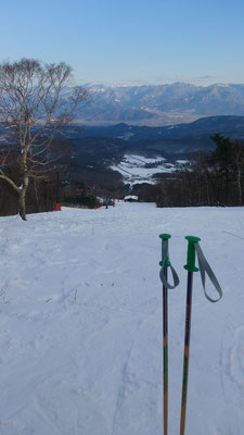 ～  運動始め☆  ～  ふるさとski  ドーン☆と初ころび。。 それでも心身リフレッシュ ♪　(2017.1.4) (c) Yukie Arai