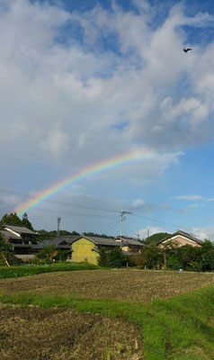 ～ 7 colors ～  いいこと ありそ♪な気がした (2014.10.27) (c) Yukie Arai