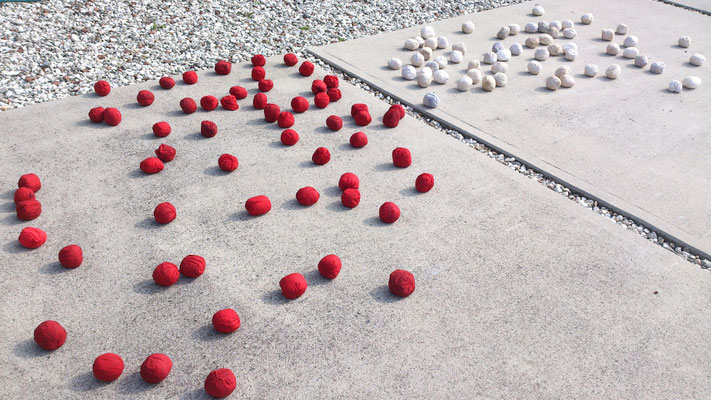 ～  玉入れ球  ～　天日干し 紅白戦！  　(2022.9.26) (c) Yukie Arai