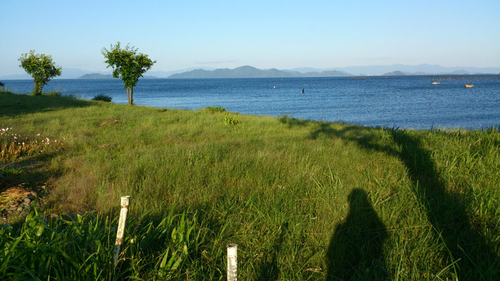 ～ 暑中お見舞い申しあげます ～ (2016.8.3) (c) Yukie Arai