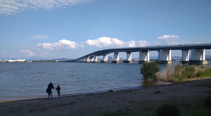 ～  はいっチーズ！  ～ 　初夏のよそおい  琵琶湖大橋♪  　 (2021.6.1) (c) Yukie Arai