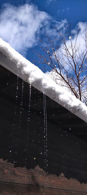 ～  雲・雪・雫  ～ 　空から私の掌まで☆...　 (2021.2.9) (c) Yukie Arai