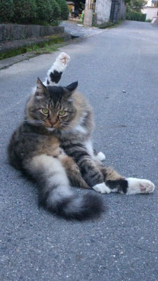 ～ 散歩道 ～  ちぢこまって歩いていたら、「リ～ラックス♪」って聞こえた・・・ (2015.2.9) (c) Yukie Arai