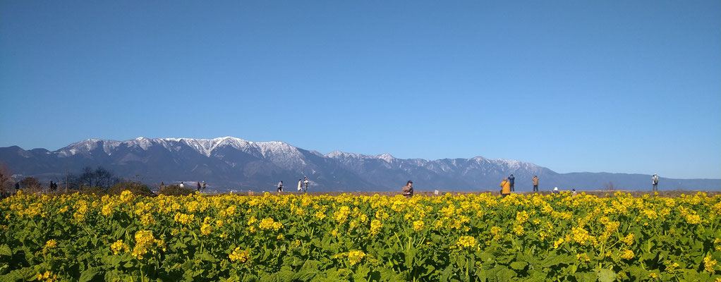 ～  ひさびさに深呼吸 ～　Collarビタミンチャージ♪  湖岸にて　　(2024.1.17) (c) Yukie Arai