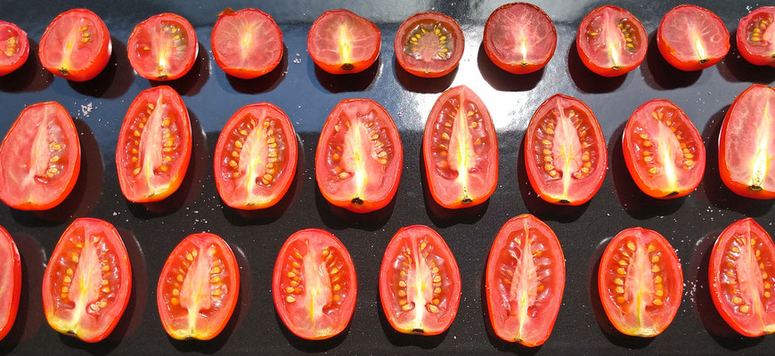 ～  天日干し  ～ 　猛暑よ!! かかってこい  ドライトマト作り♪ 　 (2021.8.2) (c) Yukie Arai