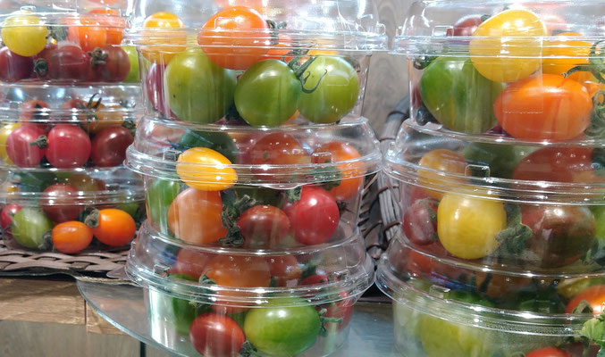 ～  プチカラフル☆  ～　元気をもらう♪  　(2022.7.14) (c) Yukie Arai