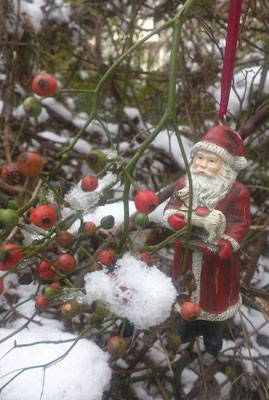 ～ Tree♪ ～ サンタを 思わず飾りつけ☆… (2014.12.18) (c) Yukie Arai