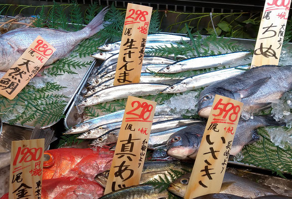 ～ 光り物☆  ～　そろそろ食べたい♪  秋刀魚 　(2020.9.29) (c) Yukie Arai
