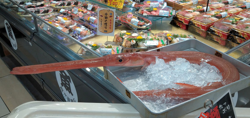 ～ つ  ～　はみ出して いこぅ～☆!   　(2020.12.9) (c) Yukie Arai