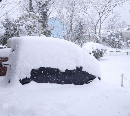 ～  工房にて ～　車も私も  雪ごもり☆...  　(2023.1.25) (c) Yukie Arai