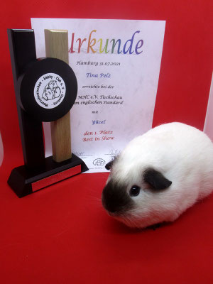 Yücel wurde Best in Show