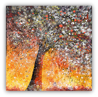 vie nouvelle - 80x80
