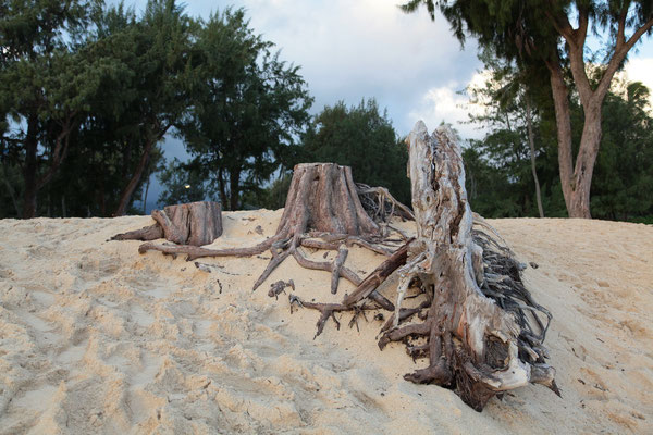 Kailua Beach