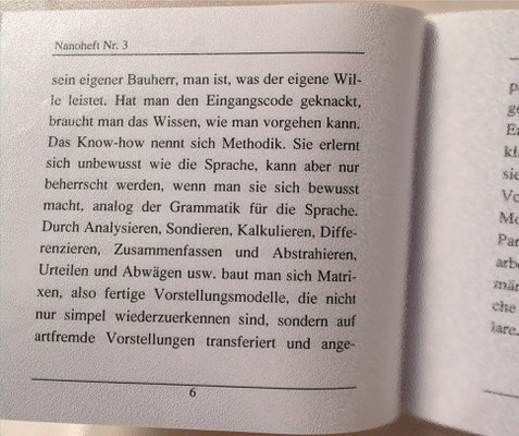 Karin Mettke-Schröder/Schichtung der Intelligenz/Thesen zum Gigabuch Michael/Nanobook Nr. 3/2004/Seite 6