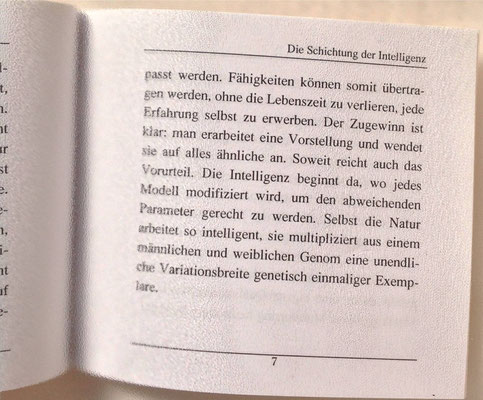 Karin Mettke-Schröder/Schichtung der Intelligenz/Thesen zum Gigabuch Michael/Nanobook Nr. 3/2004/Seite 7