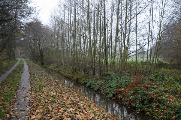 Blick vom Weg aus (2011) (c) Dietrich Westphal