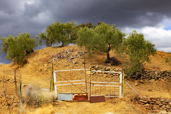 Tolox, Andalusía