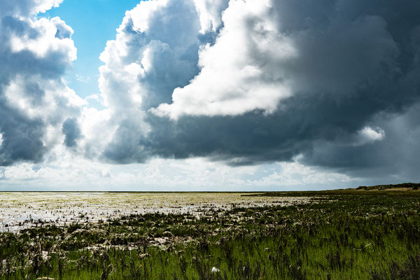 Waddenzee bij Vlieland