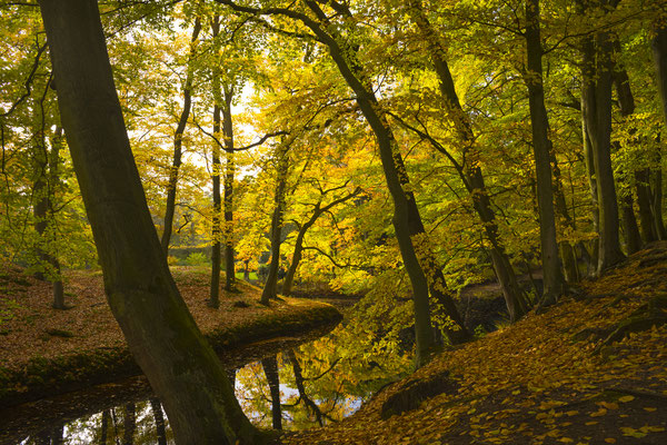 Clingendael, Den Haag