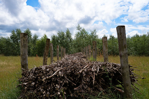 Wilgentakken, Rhoonse Grienden