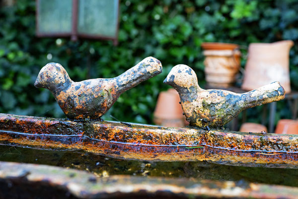 Tuin, Voorthuizen