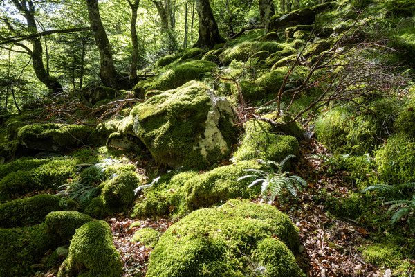Franse Pyreneeën