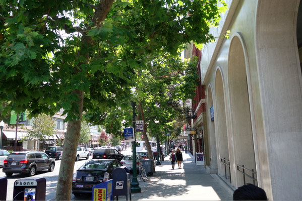 Berkeley