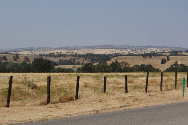 Way to Knights Ferry