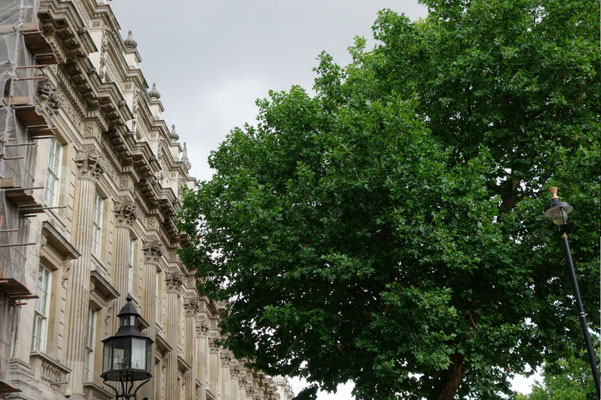 Next to Downing Street