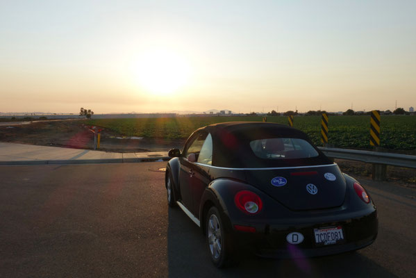 Sunset with VW Beetle