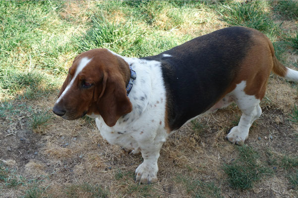Rory