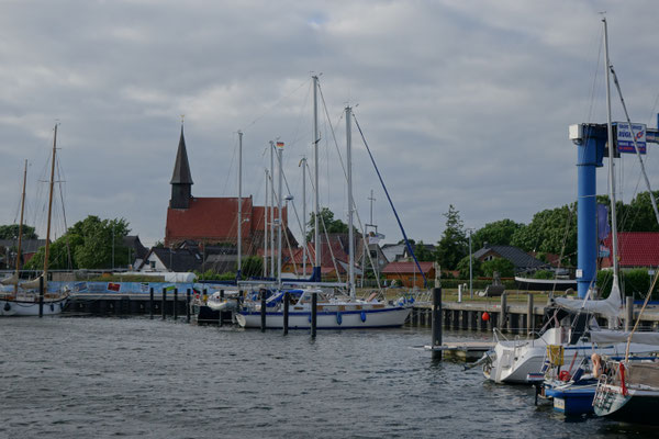 Schaprode