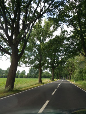 Rügen