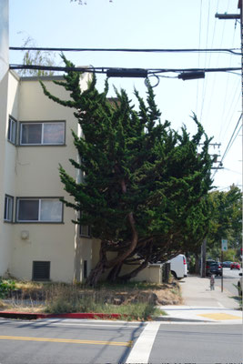 Berkeley
