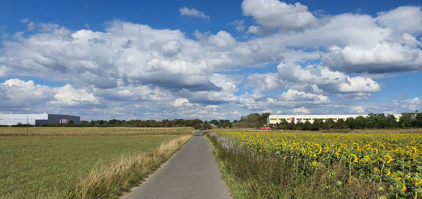 Der Weg von Fühlingen nach Langel zum Rhein-Ufer
