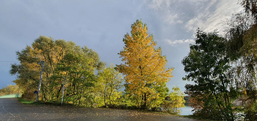 Fühlinger See