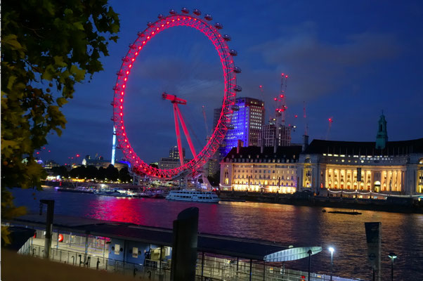 London Eye, Sea Life