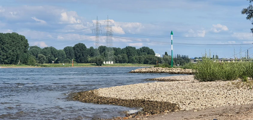 Rhein-Ufer