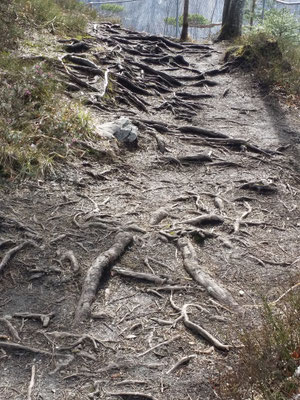 Wanderweg auf dem Karren