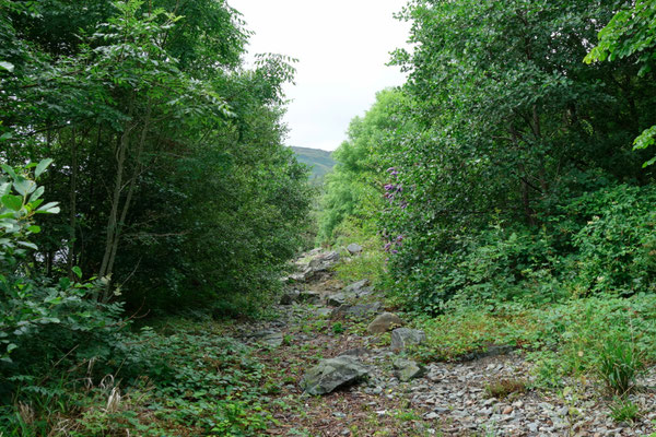 Next to the Loch