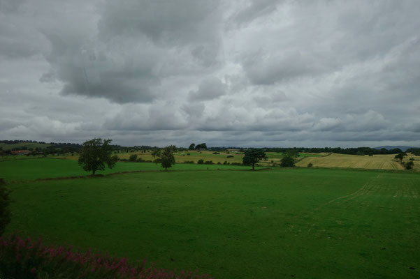 View from the train
